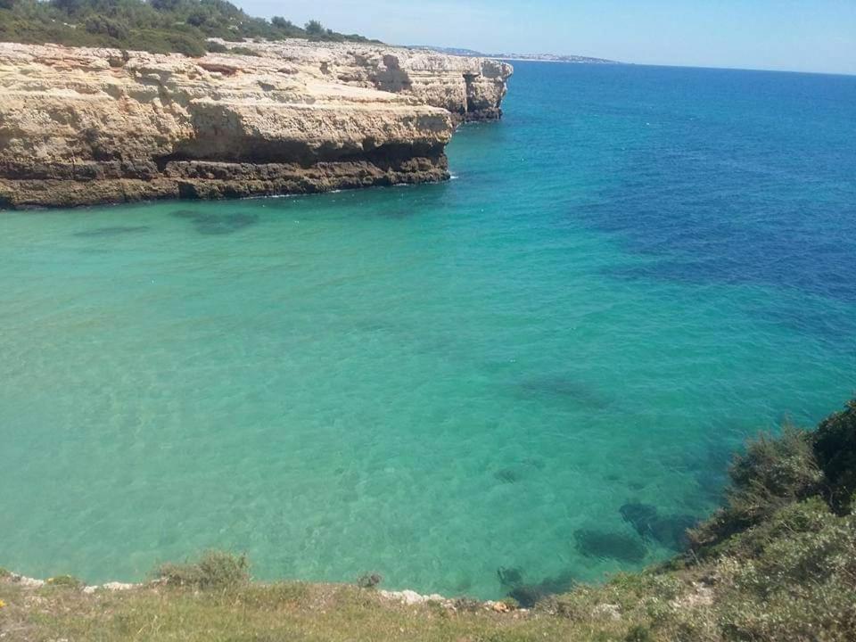Al Algarve - Alojamento Local Com Excelente Localizacao カルヴォエイロ エクステリア 写真